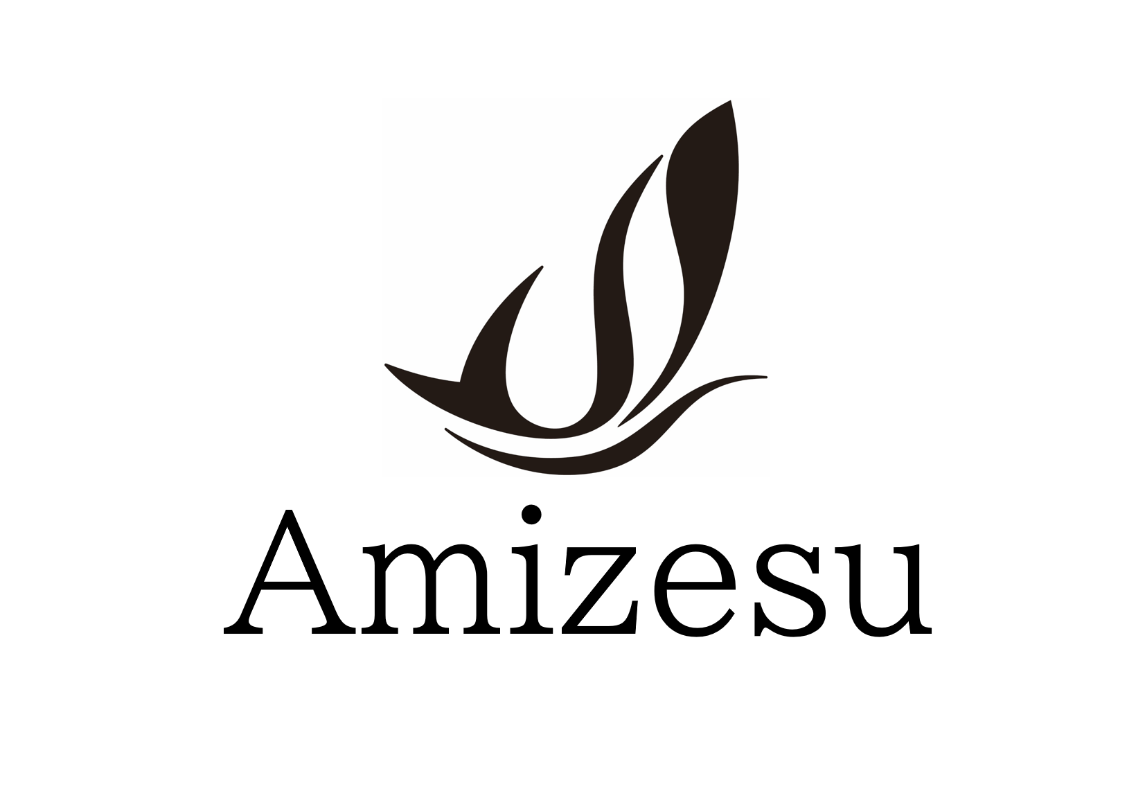 amizesu | Amizesu