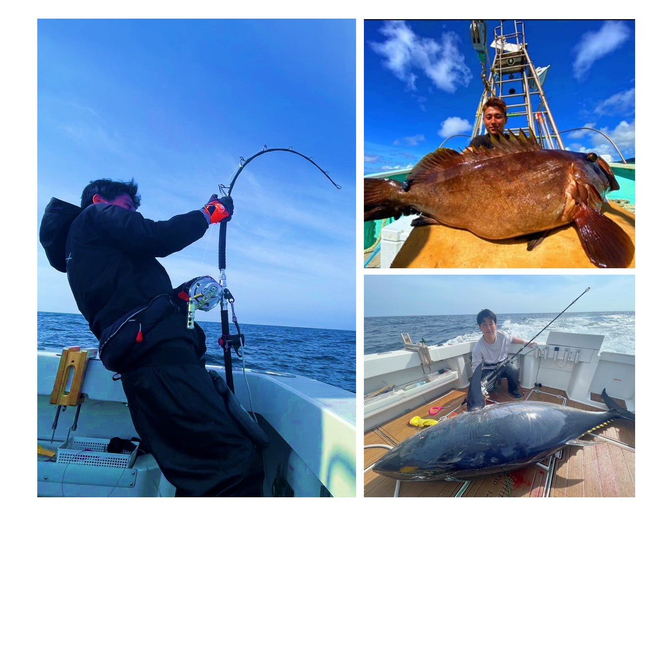 D4c13aca41546afd5e016056389fb823